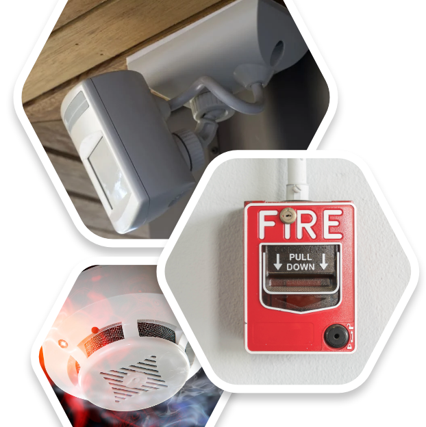 Black Point Seguridad Electrónica